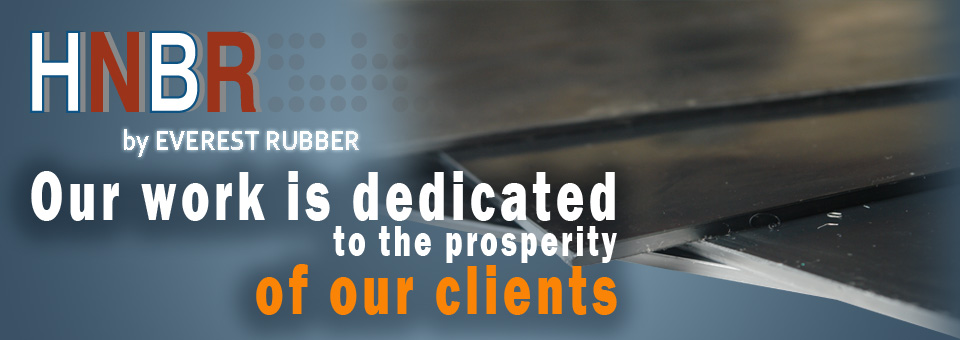 HNBR viton